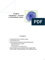 CURS 5.pdf