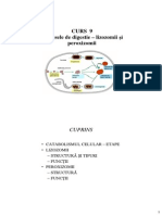 Curs 9 PDF