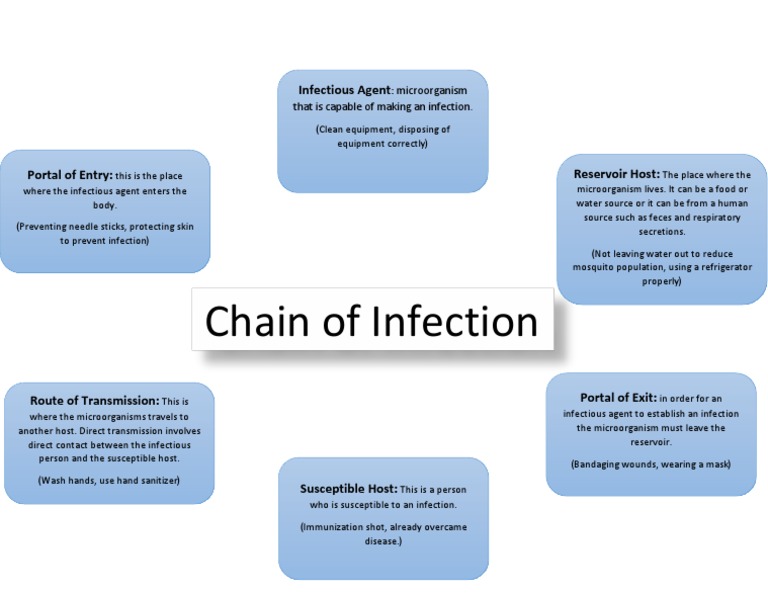 Chain of Infection Presentation | PDF | Philosophy | Science & Mathematics