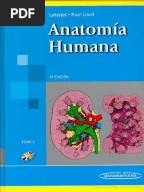 Anatomia