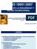 Sistema de Gestion de Sso Norma Ohsas 18001 2007