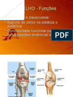 Cinesiologia Joelho e Pã©