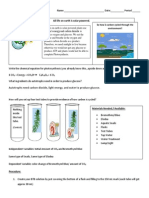 Photosynthesis Lab