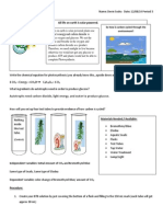 Photosynthesis Lab