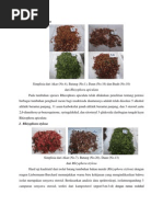Download revisi biotek by Fatkhurrochman SN249723132 doc pdf
