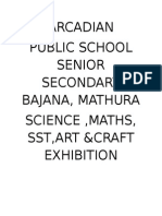 Arcadian Public School Senior Secondary Bajana, Mathura Science, Maths, SST, Art &craft Exhibition
