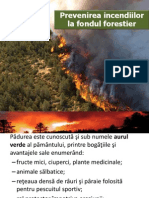 Prevenirea Incendiilor La Fondul Forestier