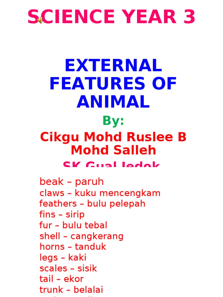 SCIENCE YEAR 3 (External Features) | PDF | Home & Garden | Science ...