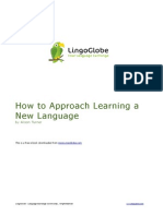 How to Approach Learning a New Language