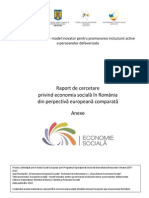 Raport Cercetare Economie Sociala - Anexe - 1