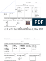 0 Literax Mic Mare Doc (1)