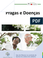 Pragas, Doenças e Plantas Daninhas.pdf