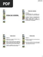 poda  VIDEIRA.pdf
