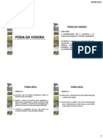 Poda VIDEIRA PDF