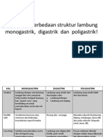 STRUKTUR LAMBUNG