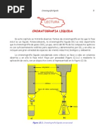 Cromatografia Liquida