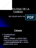SEMIOLOGIA DE LA CABEZA.ppt