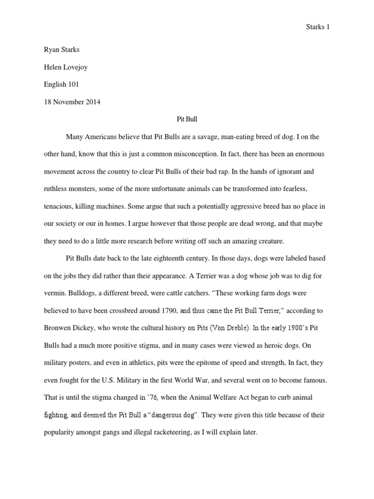 Bull research paper 08 picture