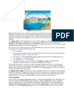 Carbon Cycle