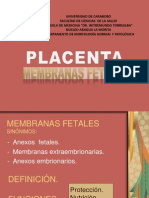 Placenta y Membranas Fetales