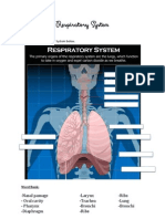 respiratory system