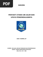 Download Penyakit Utama Ubi Jalar Dan by denitoleb SN249816873 doc pdf