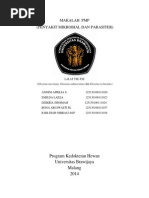 Download Makalah PMP Lalat Tse - Tse by lutfi_azam SN249818260 doc pdf