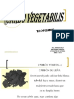 CARBO VEGETABILIS Calvi - Pereyra.ppt