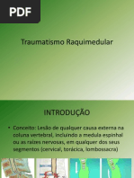 Traumatismo Raquimedular