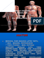 Anatomi Dan Fisiologi Manusia