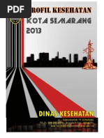 Download Profil Kesehatan Kota Semarang 2013 by shogun2517 SN249822278 doc pdf