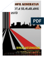 Profil Kesehatan Kota Semarang 2013