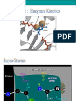 Enzyme Kinetics