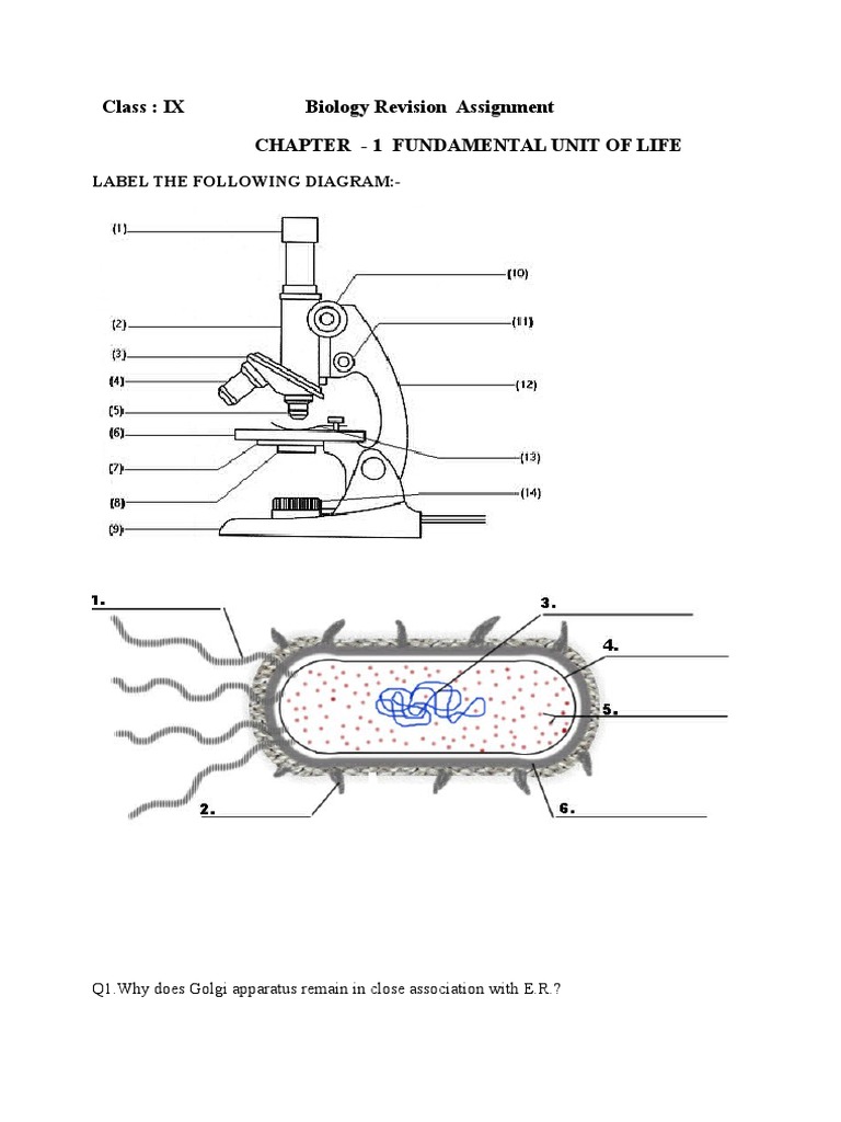 biology assignment class 9