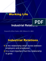 Working Life - Industrial Relations[1]