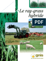 Petit Guide Pratique Gnis - Ray Grass Hybride