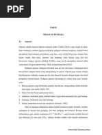 Download GYPSUM by rederese SN249856964 doc pdf