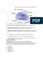 Clasificación Genoma