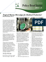 Tropical Marine Microalgae For Biodiesel Production