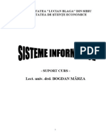 Sisteme informatice