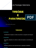 Tir_Par.pdf