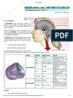 Proyecto Biosfera3