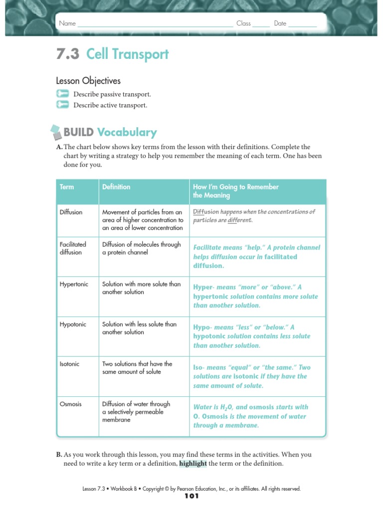 worksheet Pearson Education Biology Worksheet Answers biology 7 3 and 4 ws key cell biology