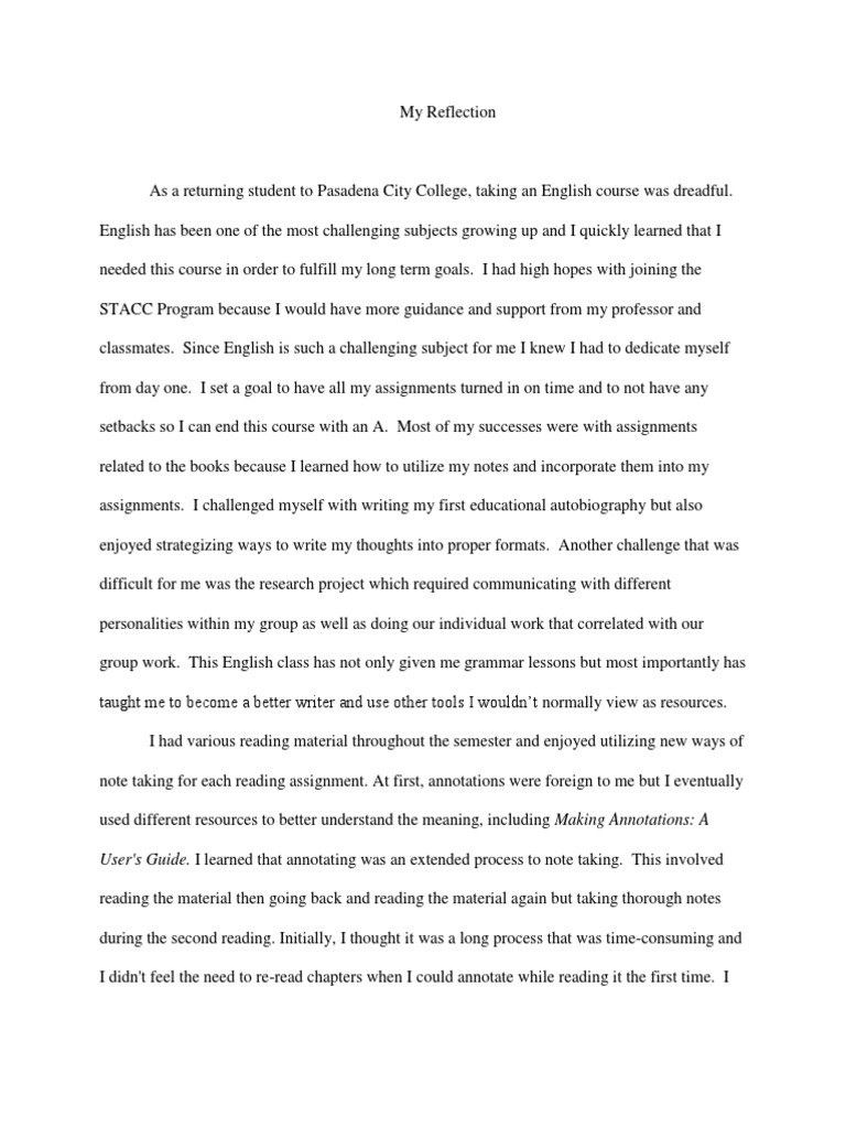 Reading reflection essay example picture