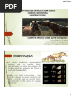 comportamento e bem esta equino