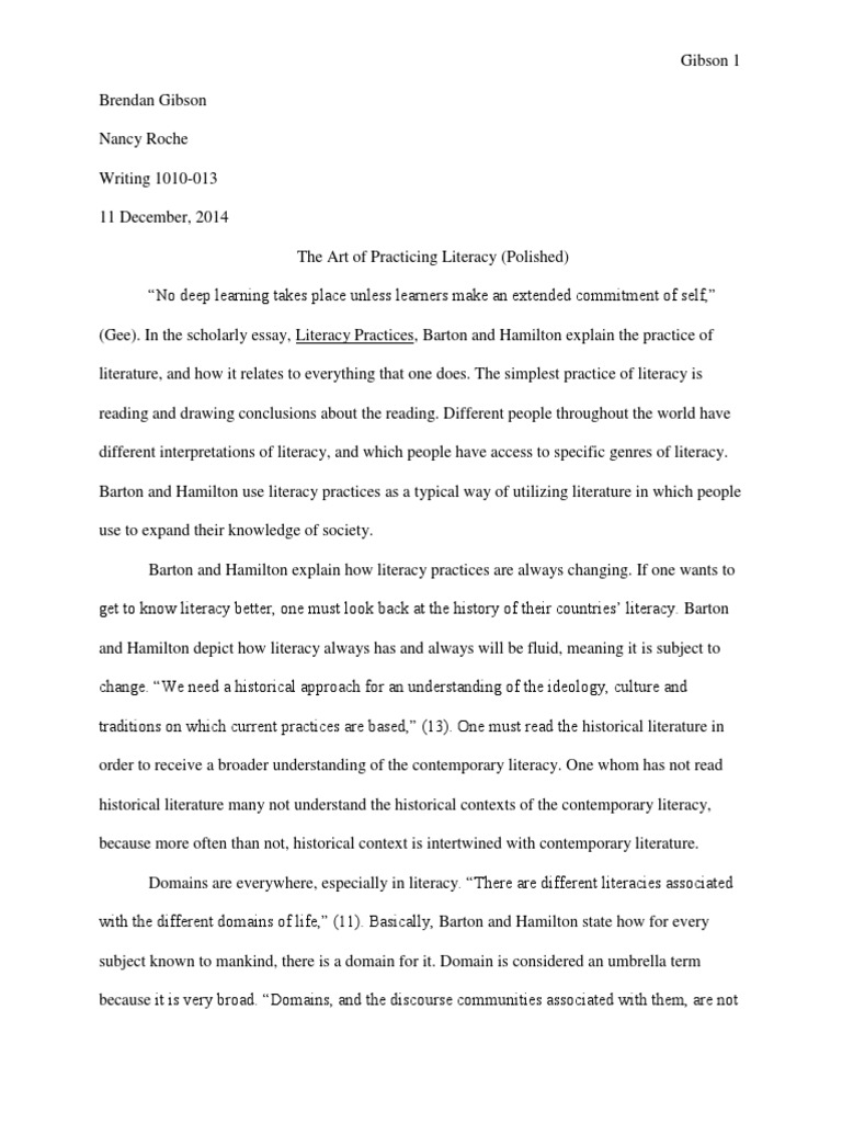 essay about literacy in english