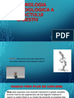 Semiologia Radiologica A Tractului Digestiv