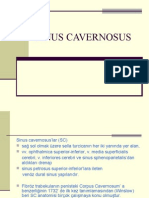 Sinus Cavernosus TR