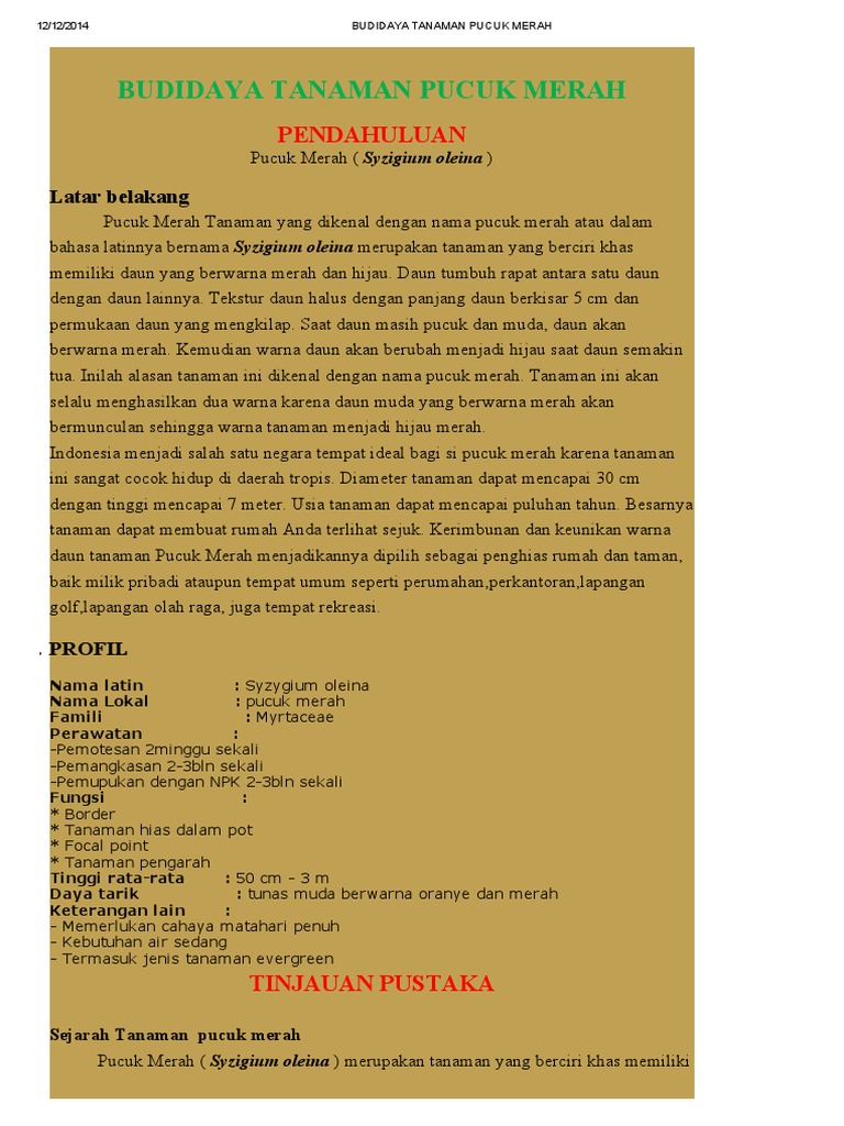 BUDIDAYA TANAMAN PUCUK MERAH pdf   BUDIDAYA TANAMAN PUCUK MERAH pdf