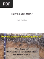 How Do Soils Form?: Soil Profiles